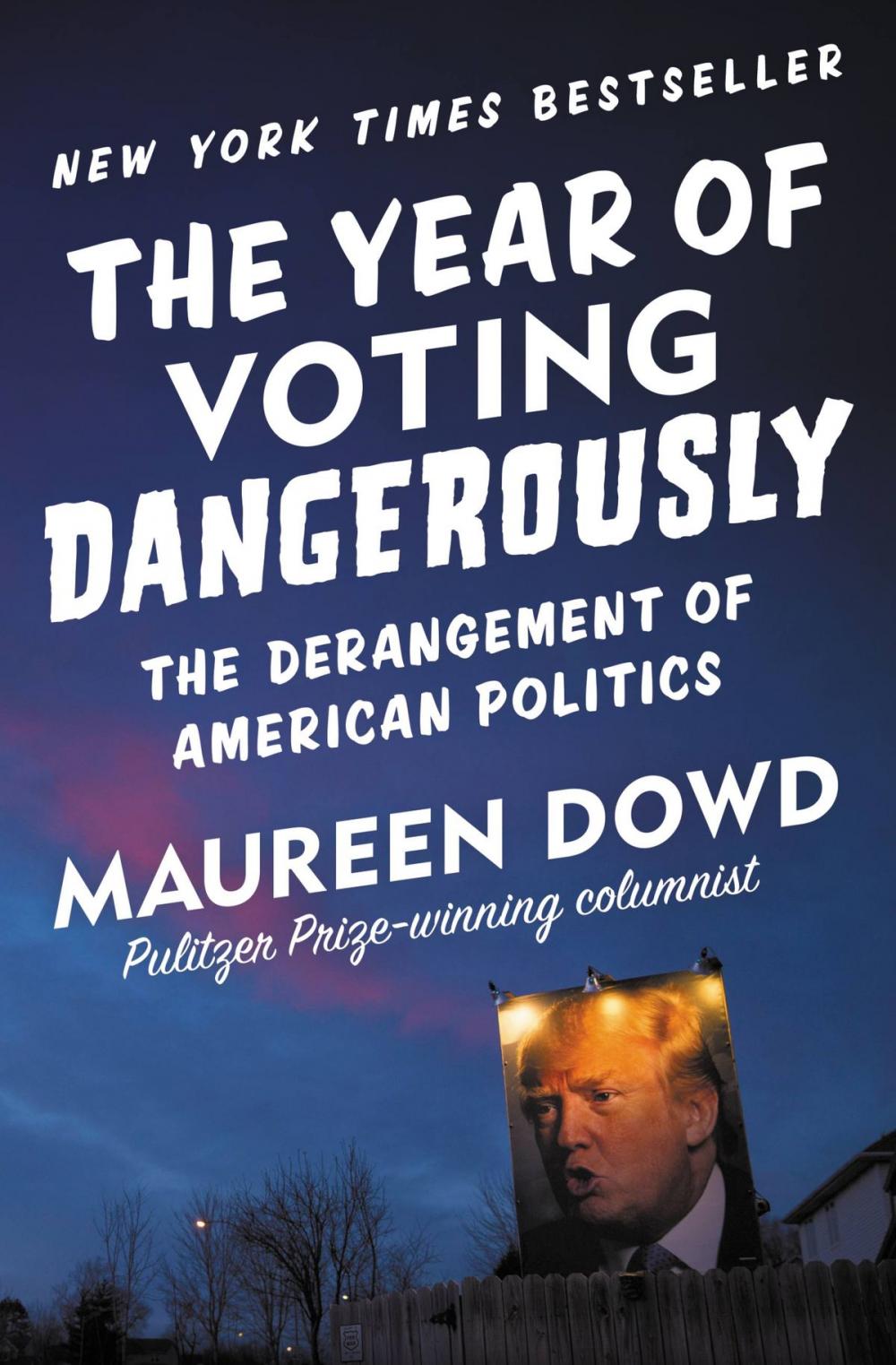 Big bigCover of The Year of Voting Dangerously