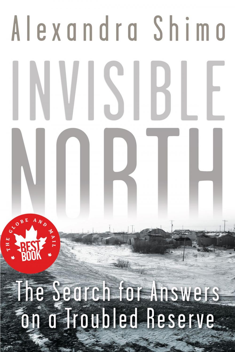 Big bigCover of Invisible North