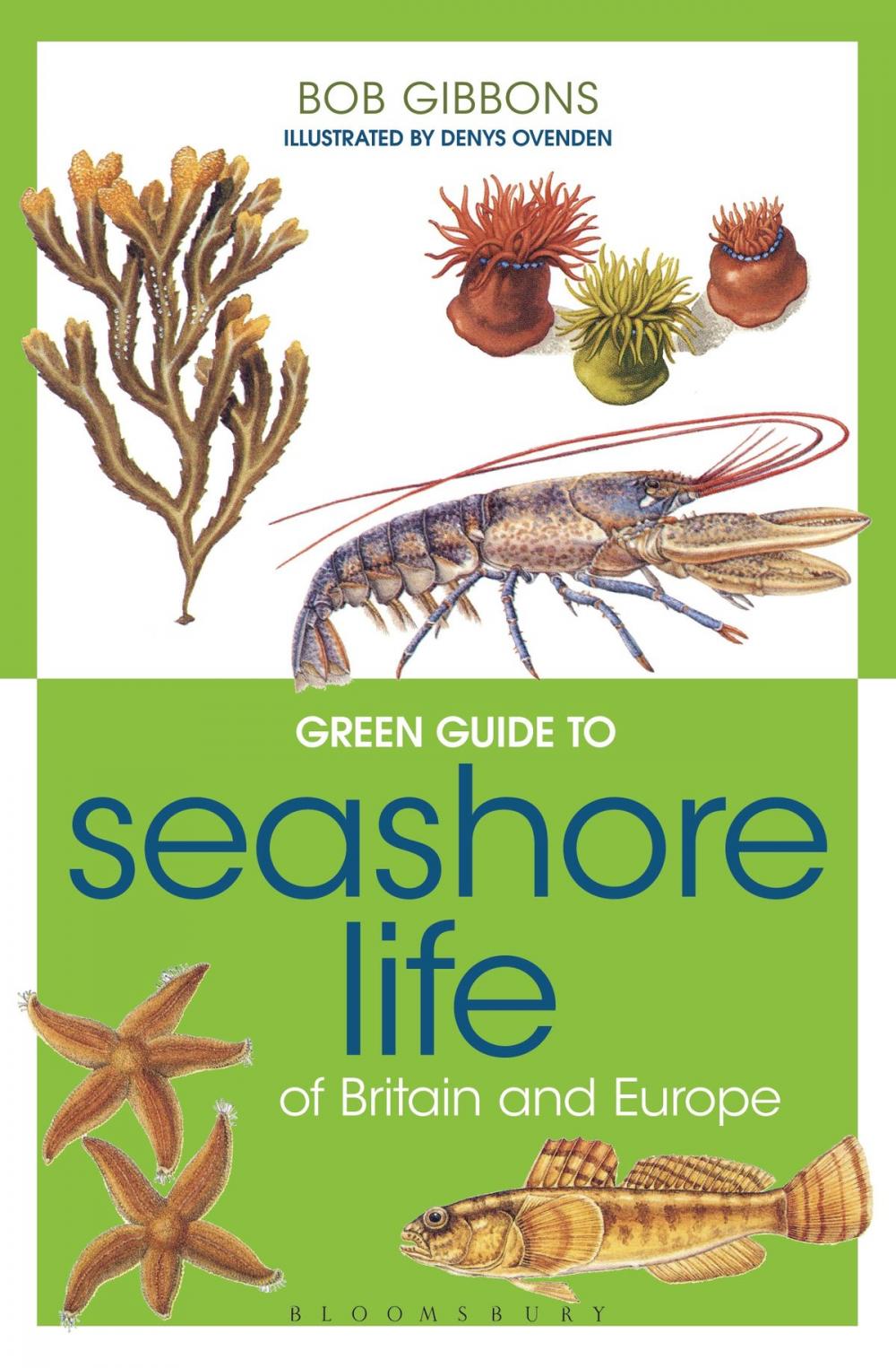 Big bigCover of Green Guide to Seashore Life Of Britain And Europe