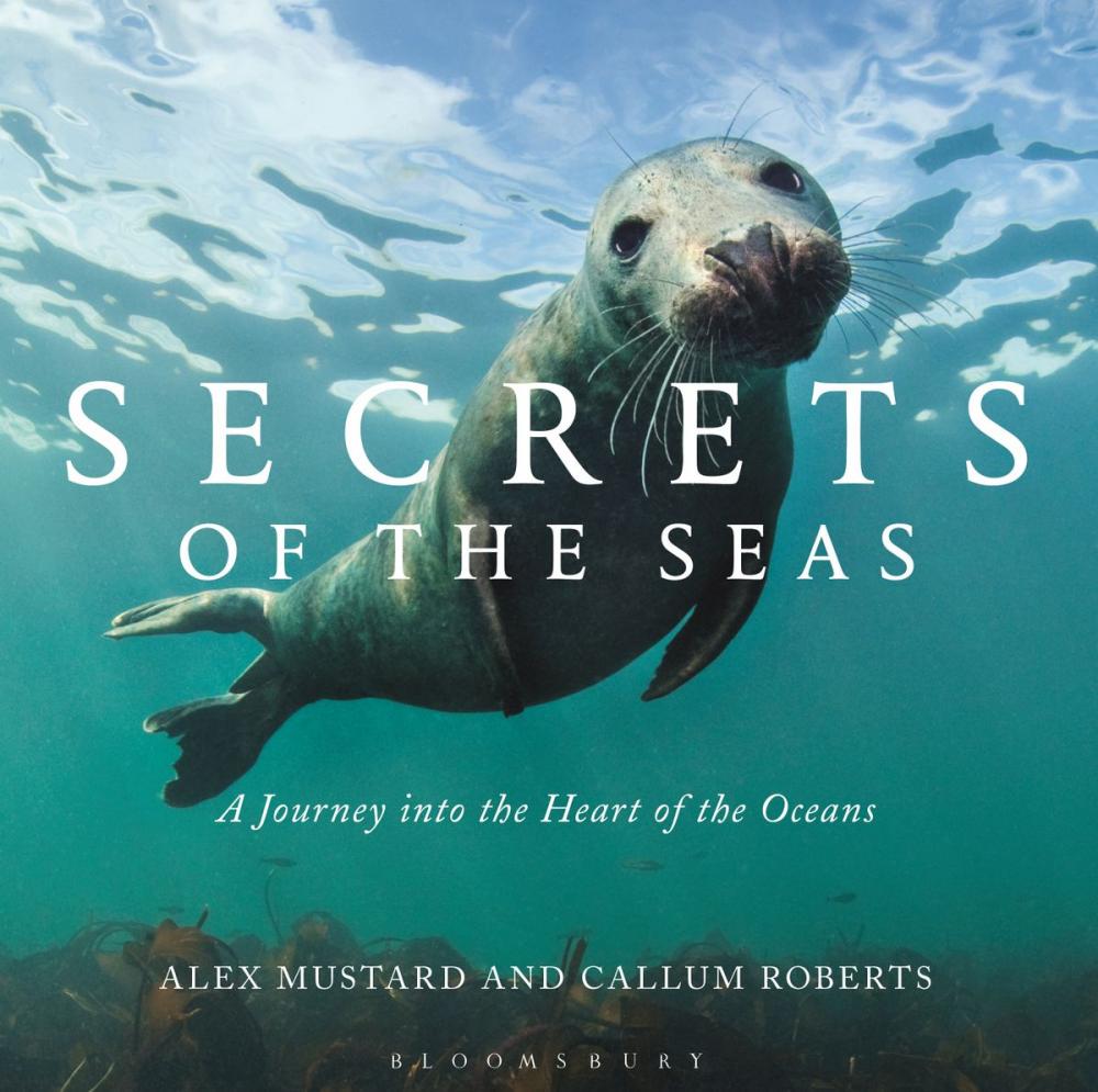 Big bigCover of Secrets of the Seas