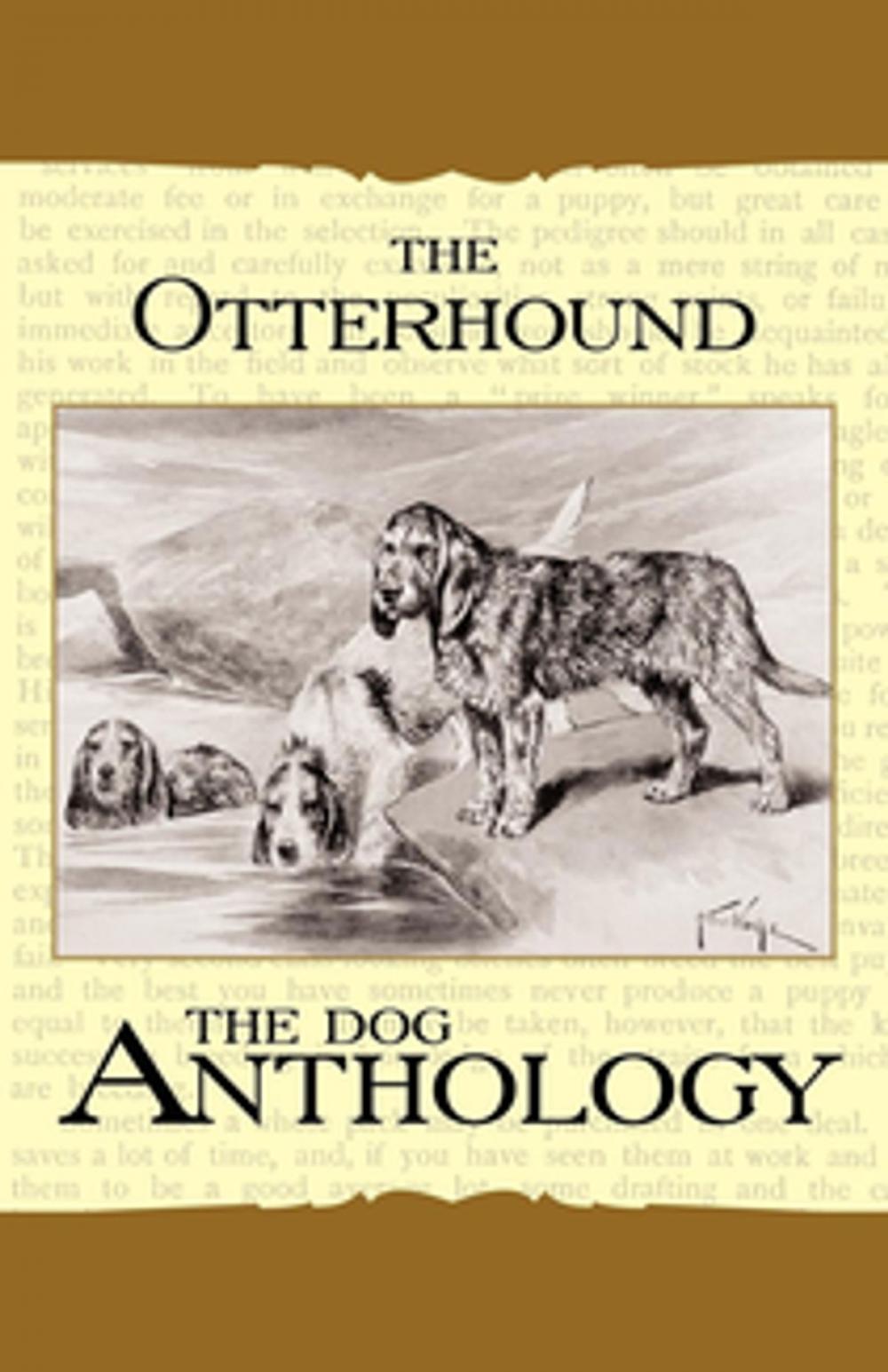 Big bigCover of The Otterhound - A Dog Anthology (A Vintage Dog Books Breed Classic)