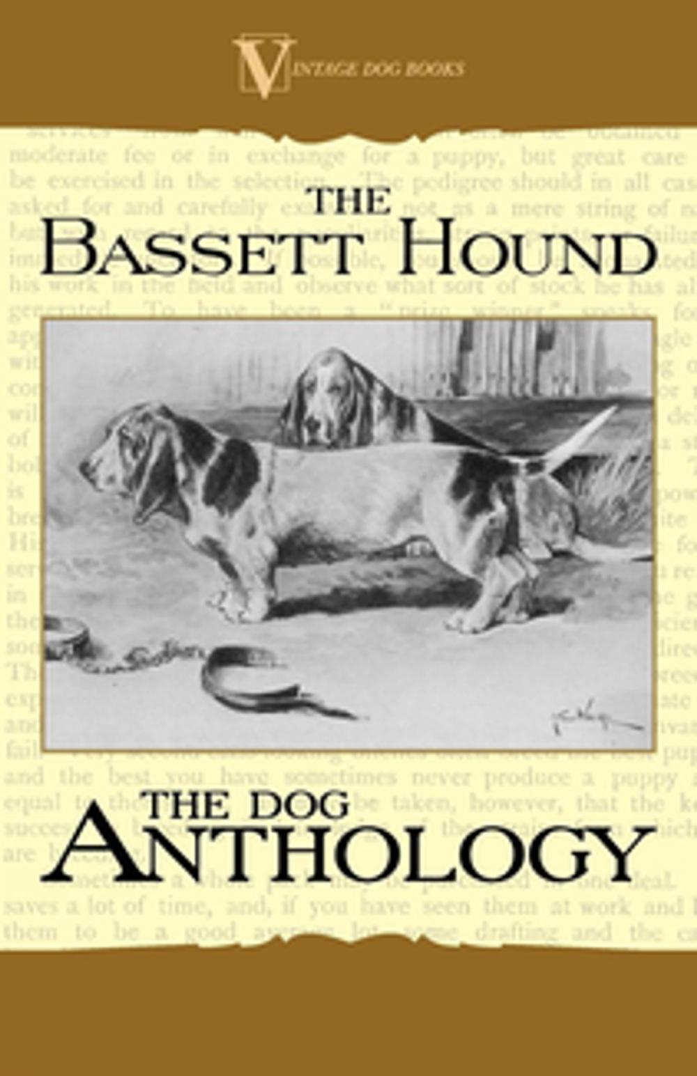 Big bigCover of The Basset Hound - A Dog Anthology (A Vintage Dog Books Breed Classic)