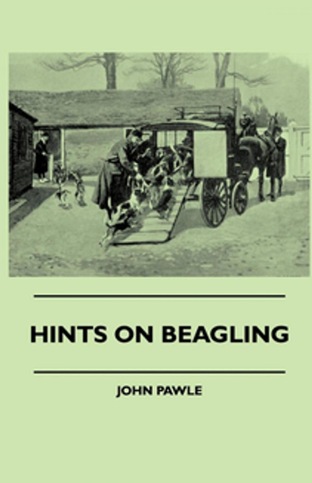 Big bigCover of Hints On Beagling