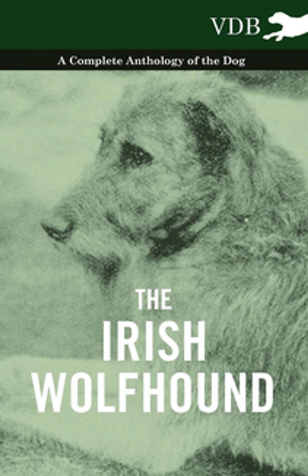 Big bigCover of The Irish Wolfhound - A Complete Anthology of the Dog