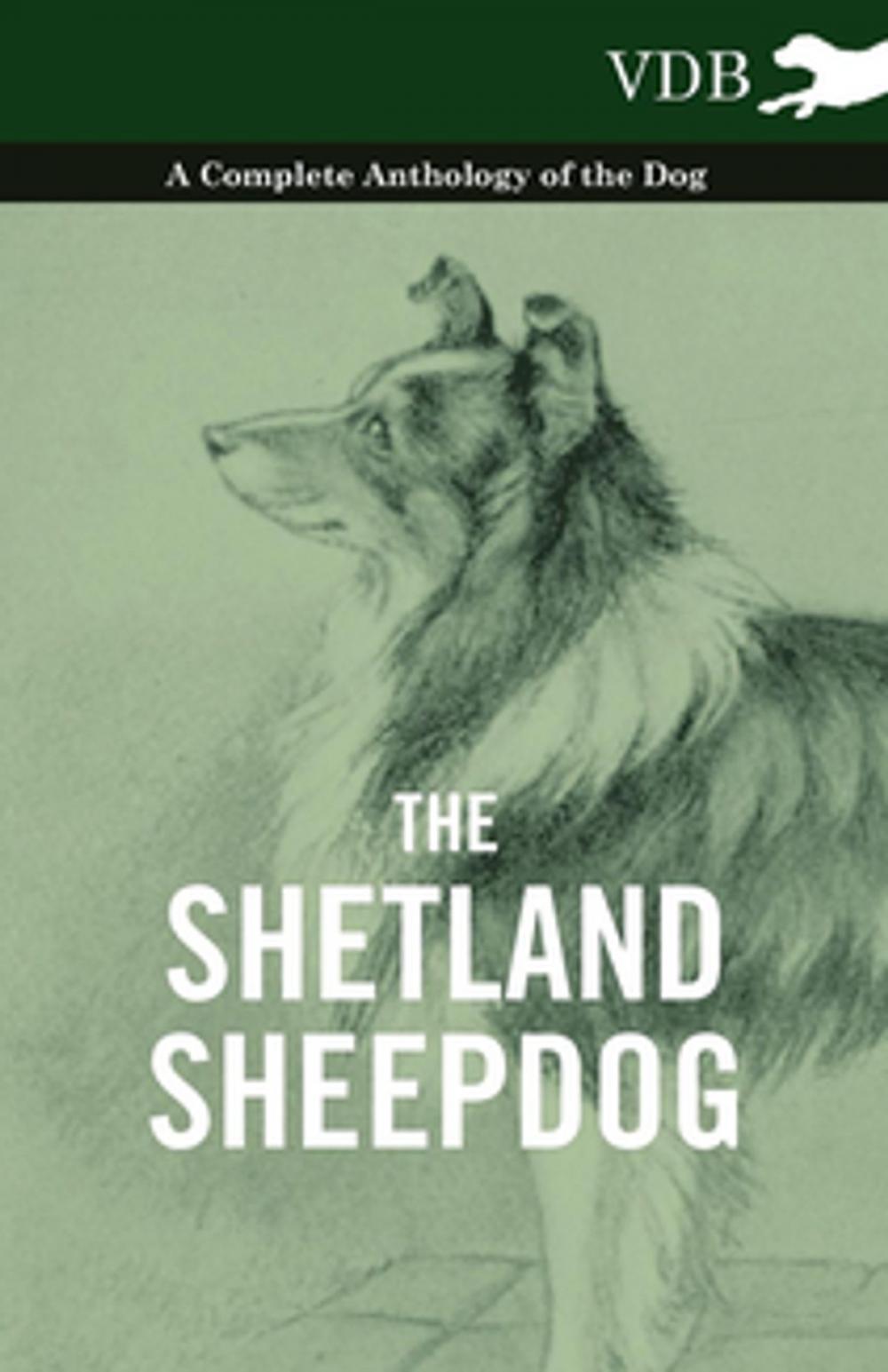 Big bigCover of The Shetland Sheepdog - A Complete Anthology of the Dog