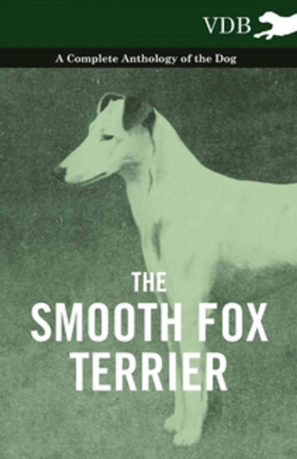 Big bigCover of The Smooth Fox Terrier - A Complete Anthology of the Dog