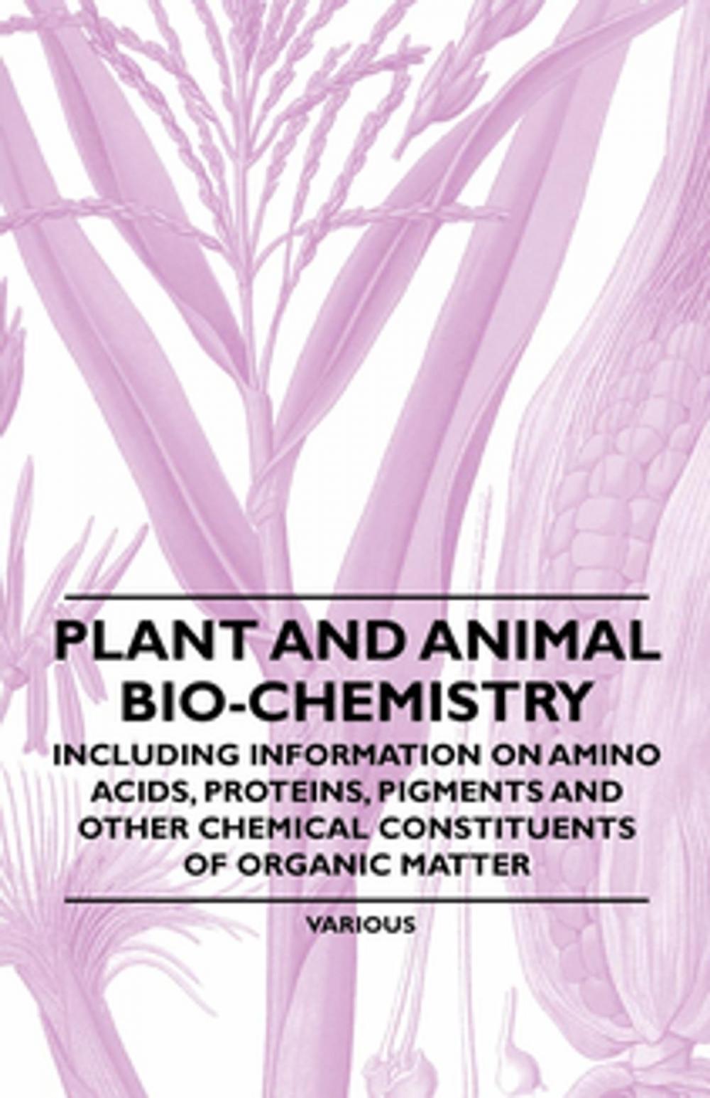 Big bigCover of Plant and Animal Bio-Chemistry - Including Information on Amino Acids, Proteins, Pigments and Other Chemical Constituents of Organic Matter