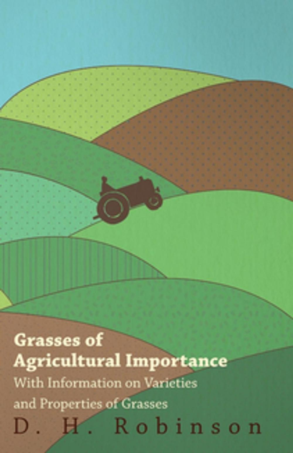 Big bigCover of Grasses of Agricultural Importance - With Information on Varieties and Properties of Grasses