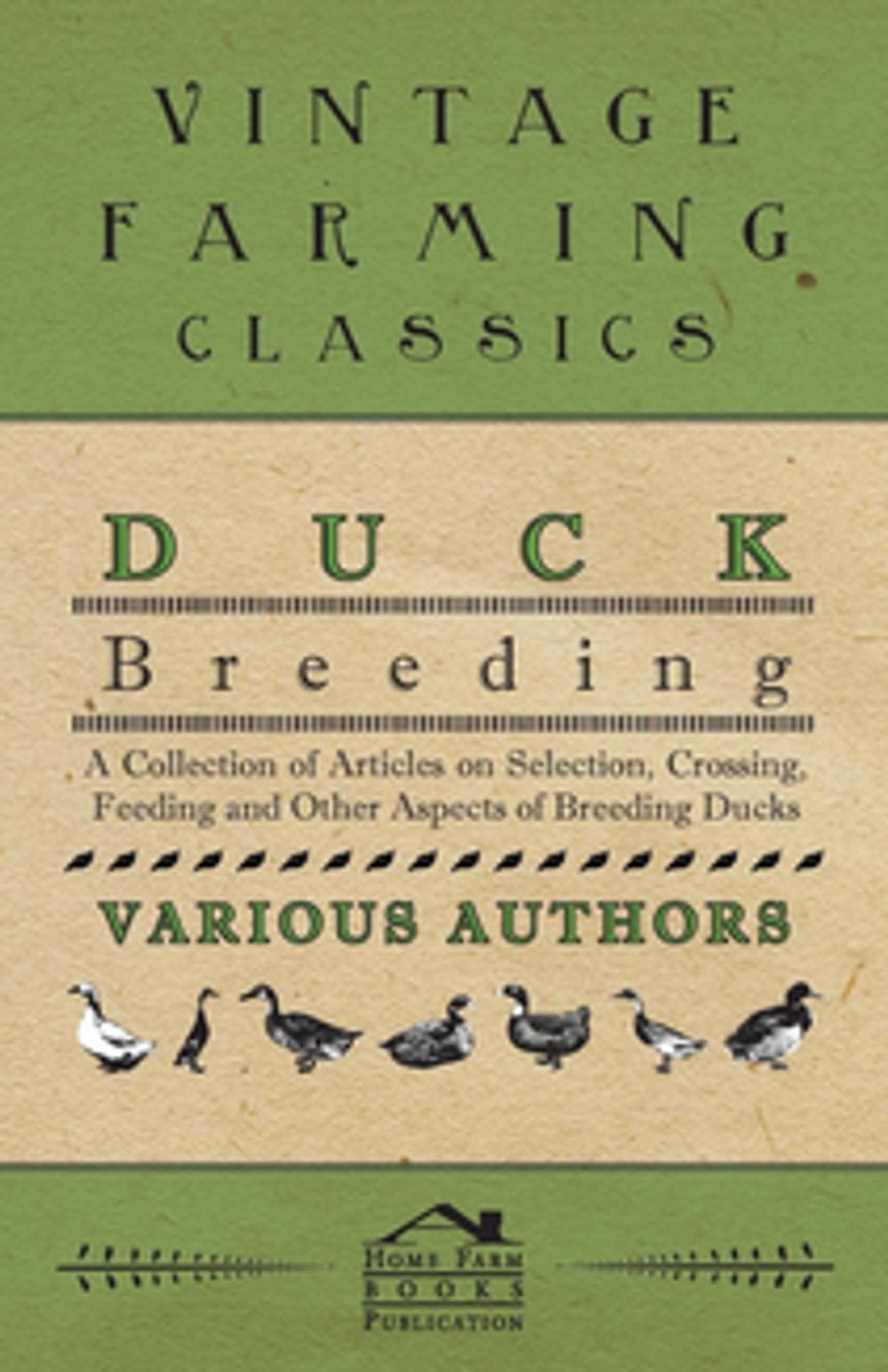 Big bigCover of Duck Breeding - A Collection of Articles on Selection, Crossing, Feeding and Other Aspects of Breeding Ducks