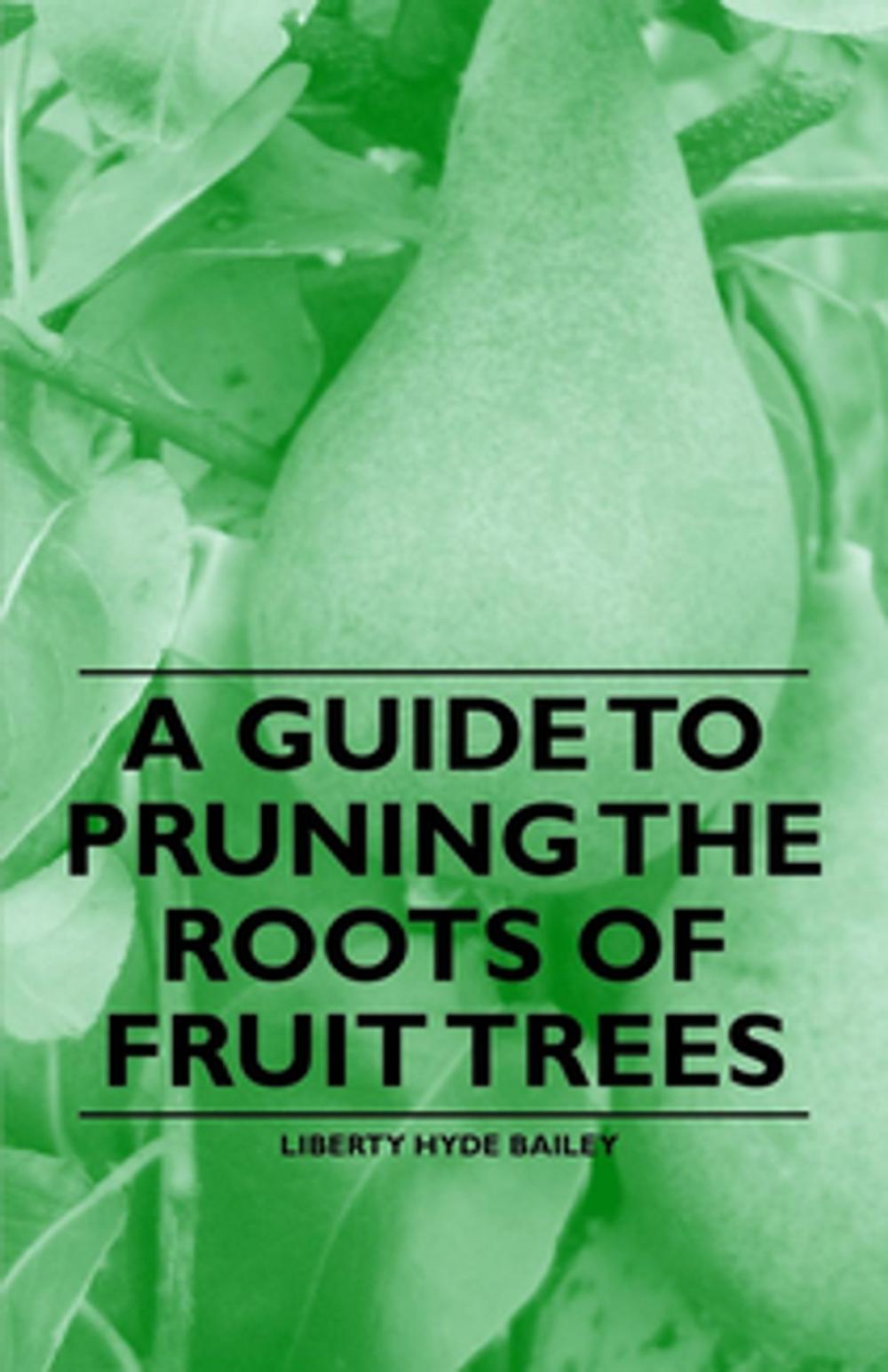 Big bigCover of A Guide to Pruning the Roots of Fruit Trees