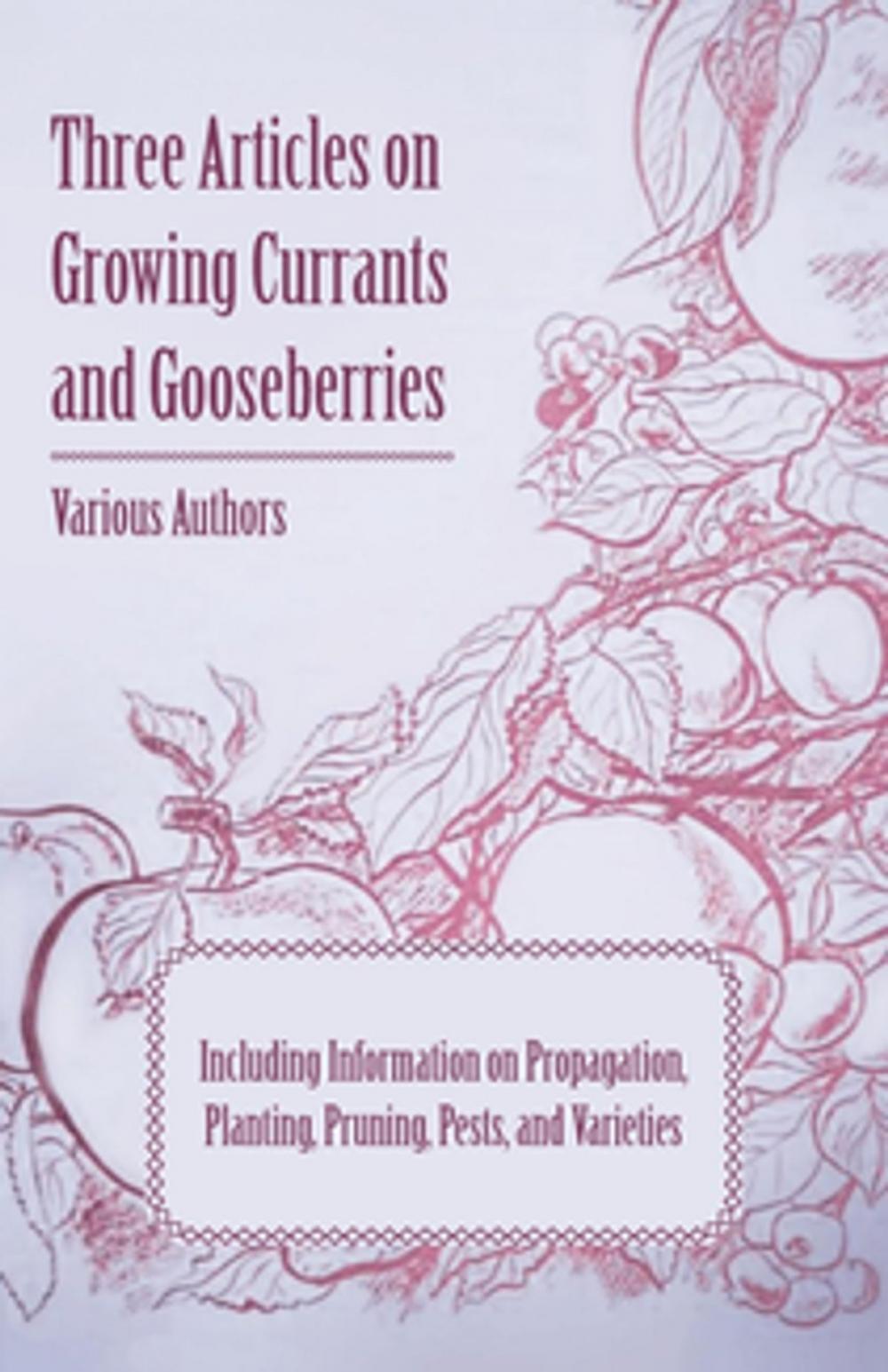 Big bigCover of Three Articles on Growing Currants and Gooseberries - Including Information on Propagation, Planting, Pruning, Pests, Varieties