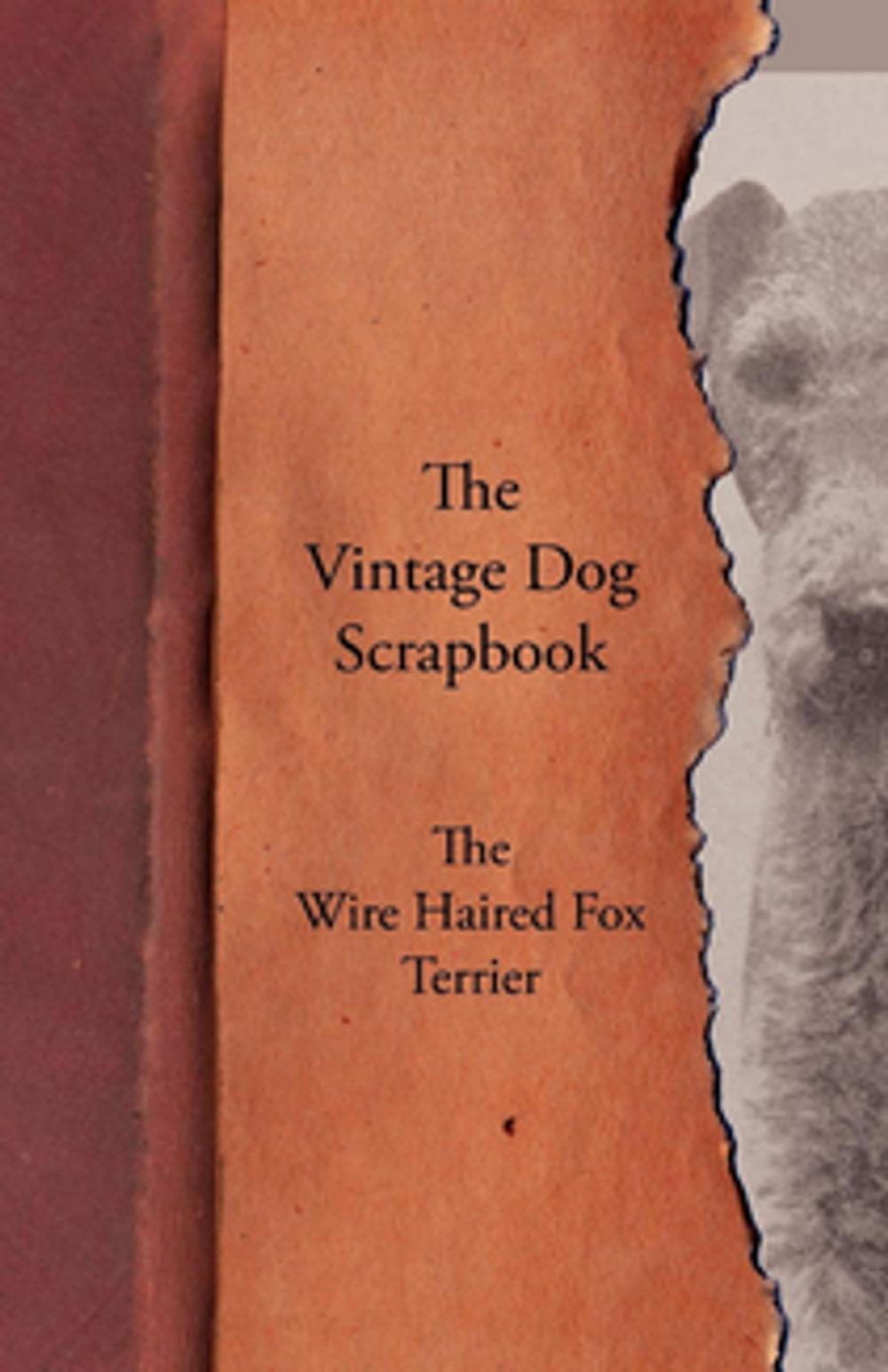 Big bigCover of The Vintage Dog Scrapbook - The Wire Haired Fox Terrier