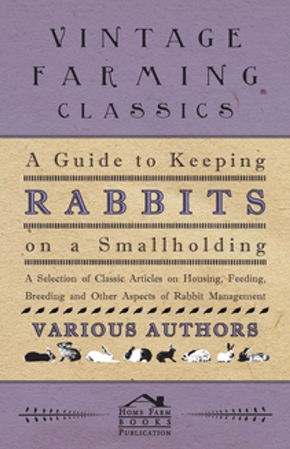 Big bigCover of A Guide to Keeping Rabbits on a Smallholding - A Selection of Classic Articles on Housing, Feeding, Breeding and Other Aspects of Rabbit Management