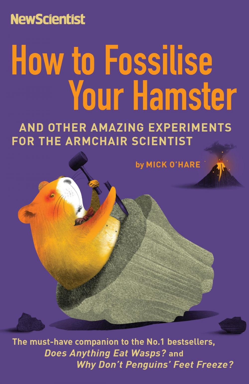 Big bigCover of How to Fossilise Your Hamster