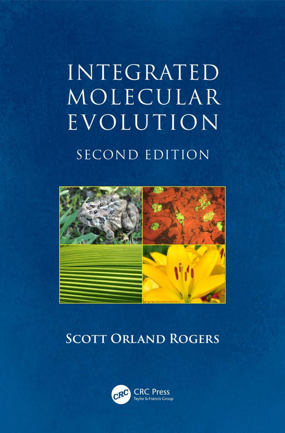 Big bigCover of Integrated Molecular Evolution