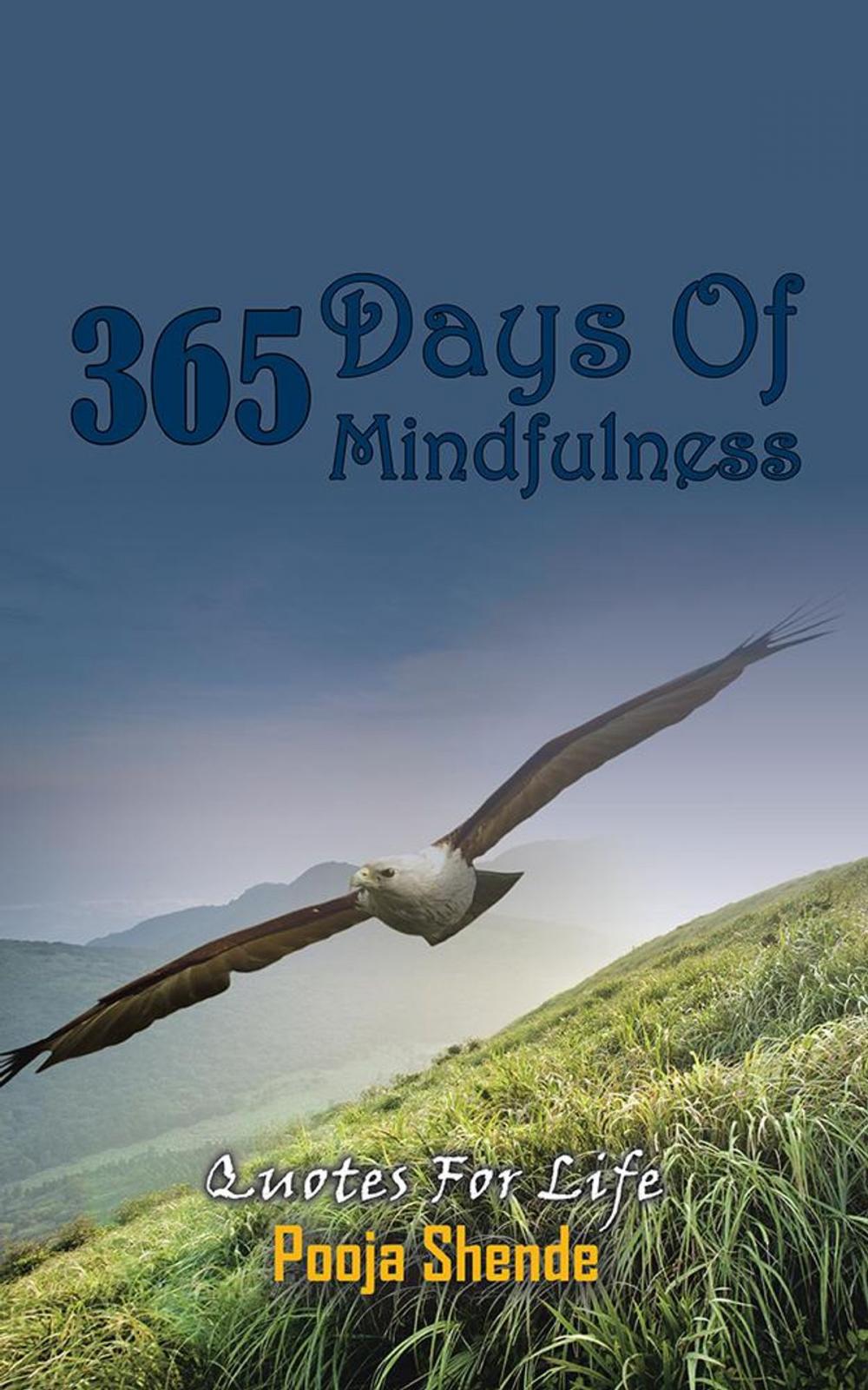 Big bigCover of 365 Days of Mindfulness