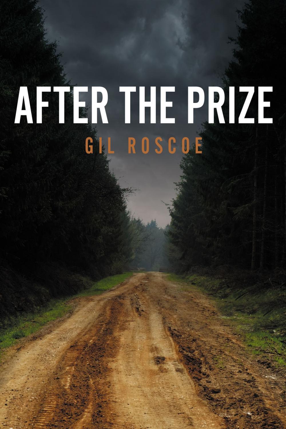 Big bigCover of After the Prize