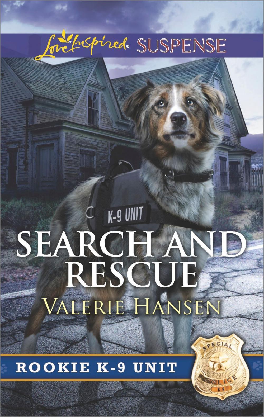 Big bigCover of Search and Rescue