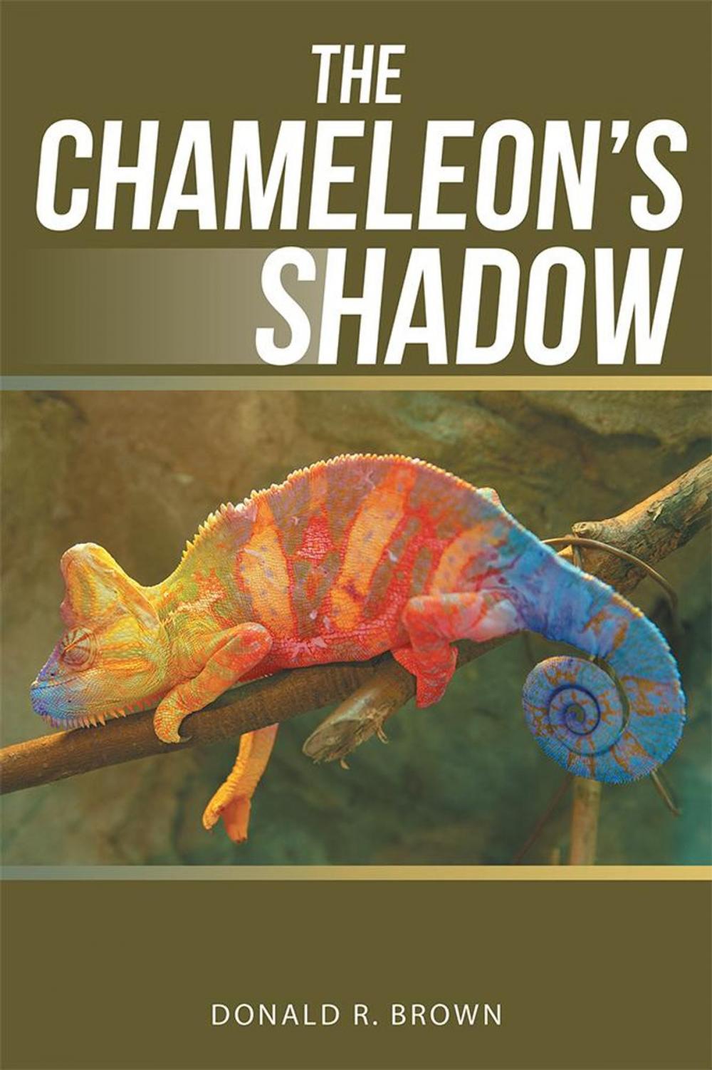 Big bigCover of The Chameleon’S Shadow