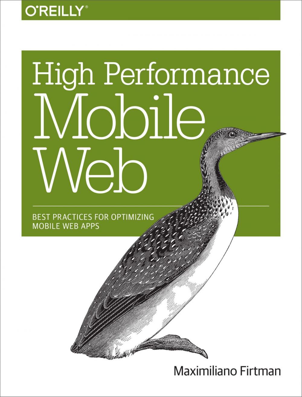 Big bigCover of High Performance Mobile Web