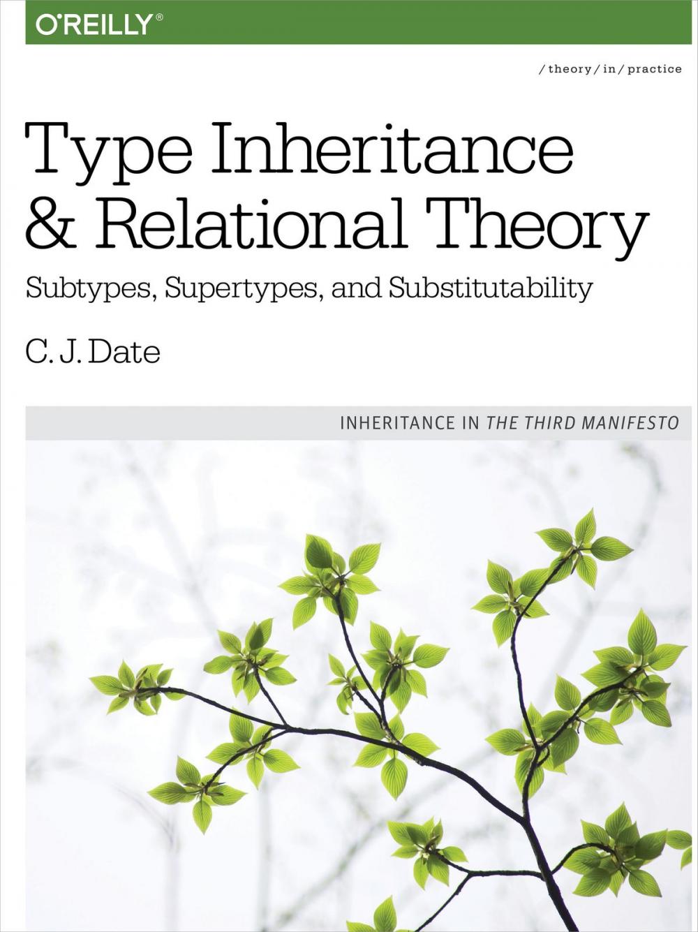 Big bigCover of Type Inheritance and Relational Theory