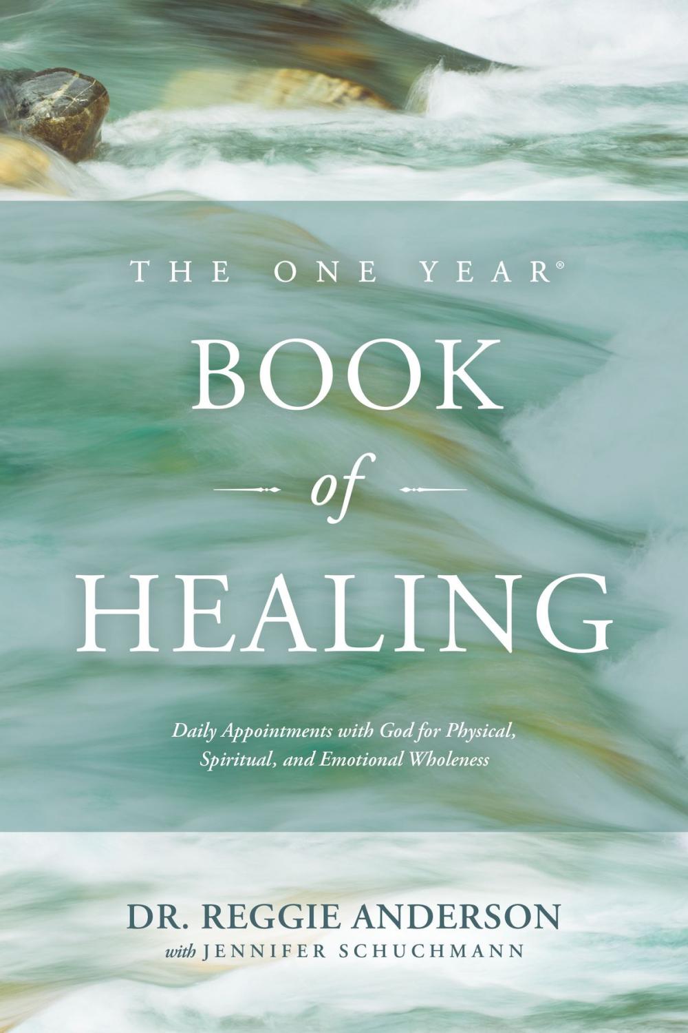 Big bigCover of The One Year Book of Healing