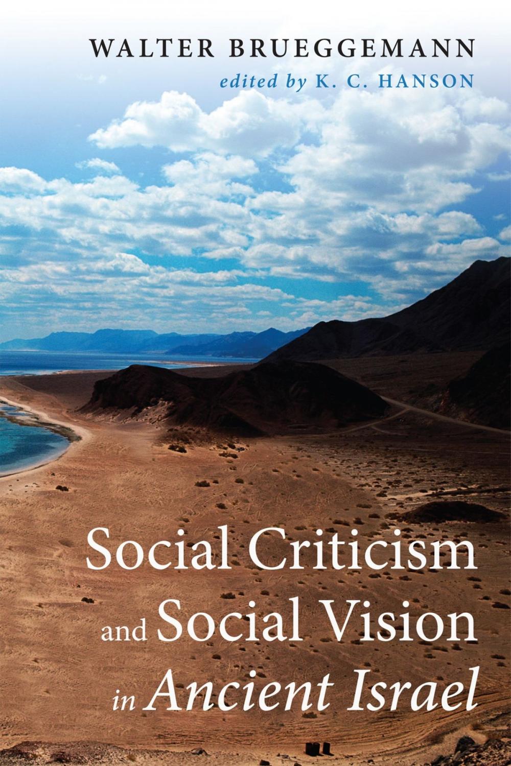 Big bigCover of Social Criticism and Social Vision in Ancient Israel