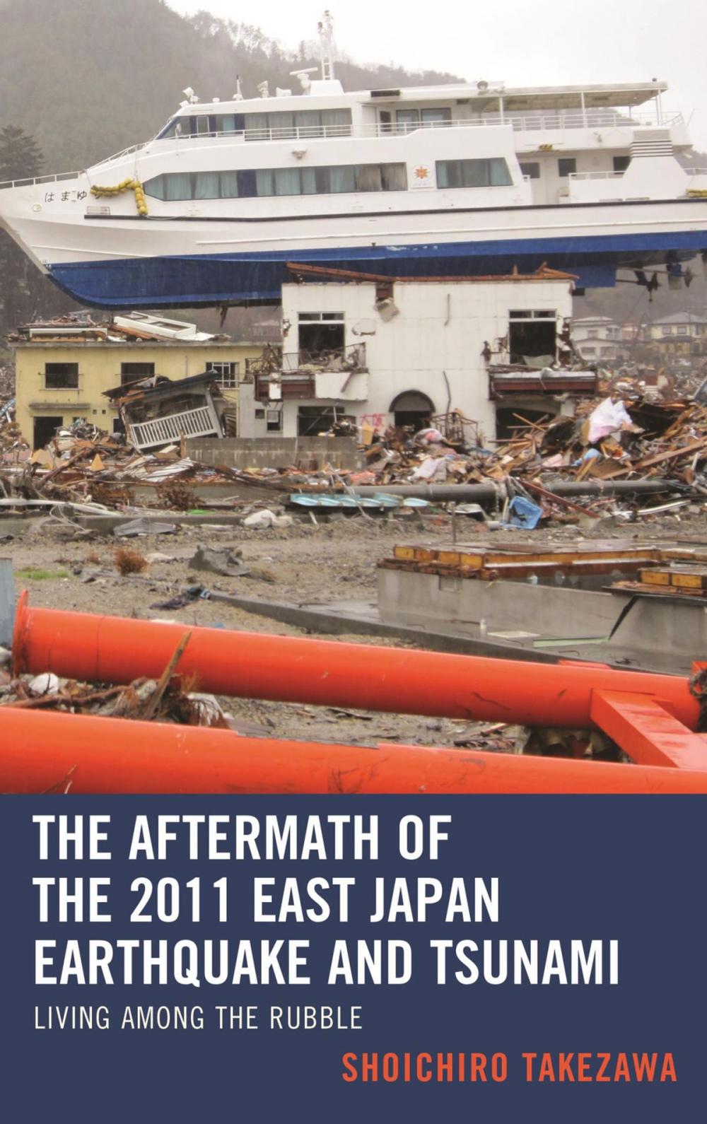 Big bigCover of The Aftermath of the 2011 East Japan Earthquake and Tsunami