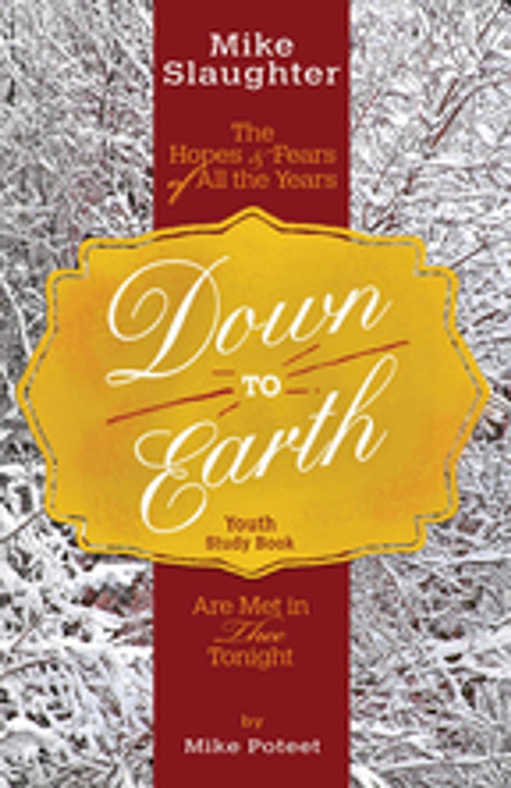 Big bigCover of Down to Earth Youth Study Book