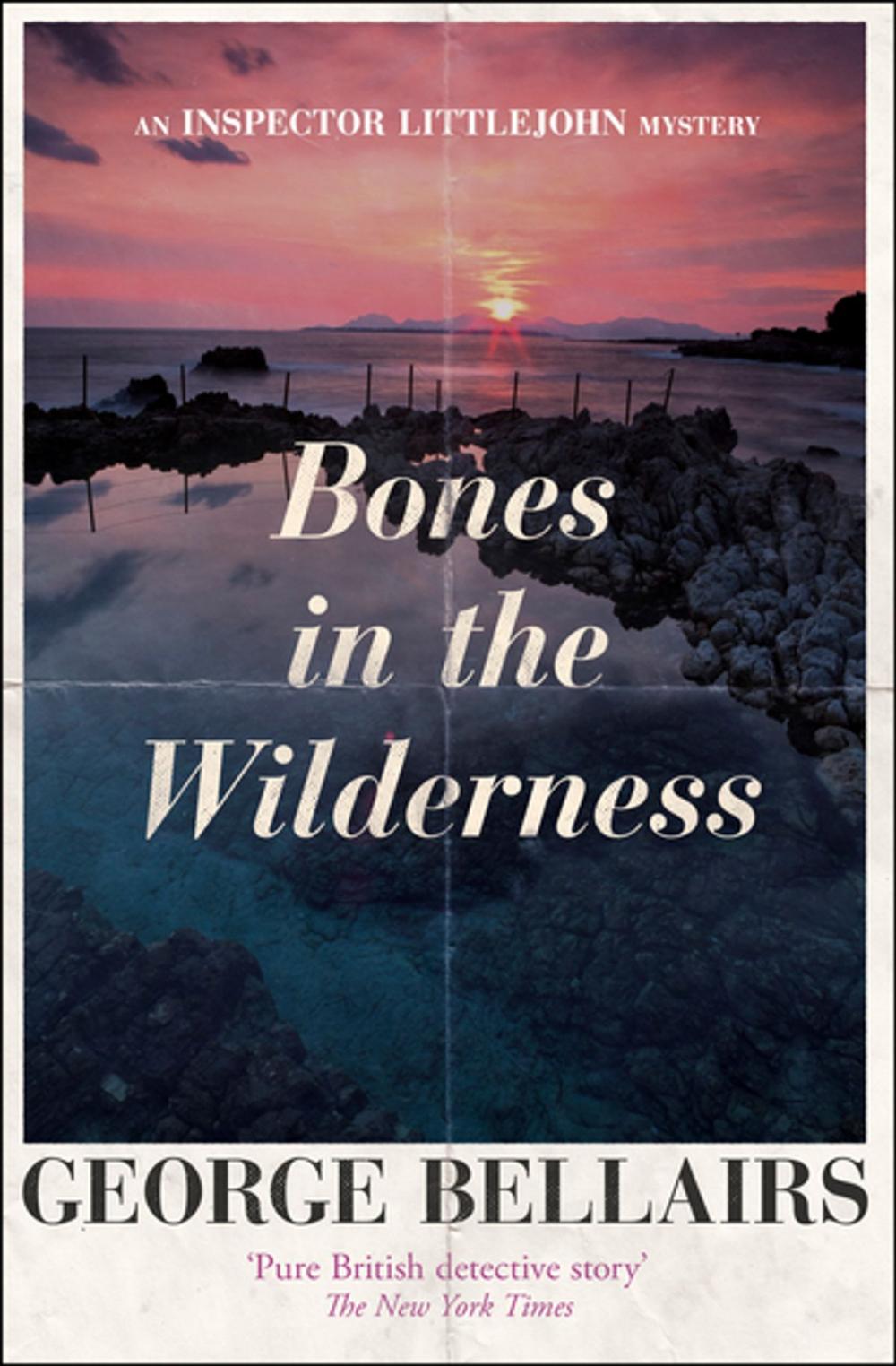 Big bigCover of Bones in the Wilderness