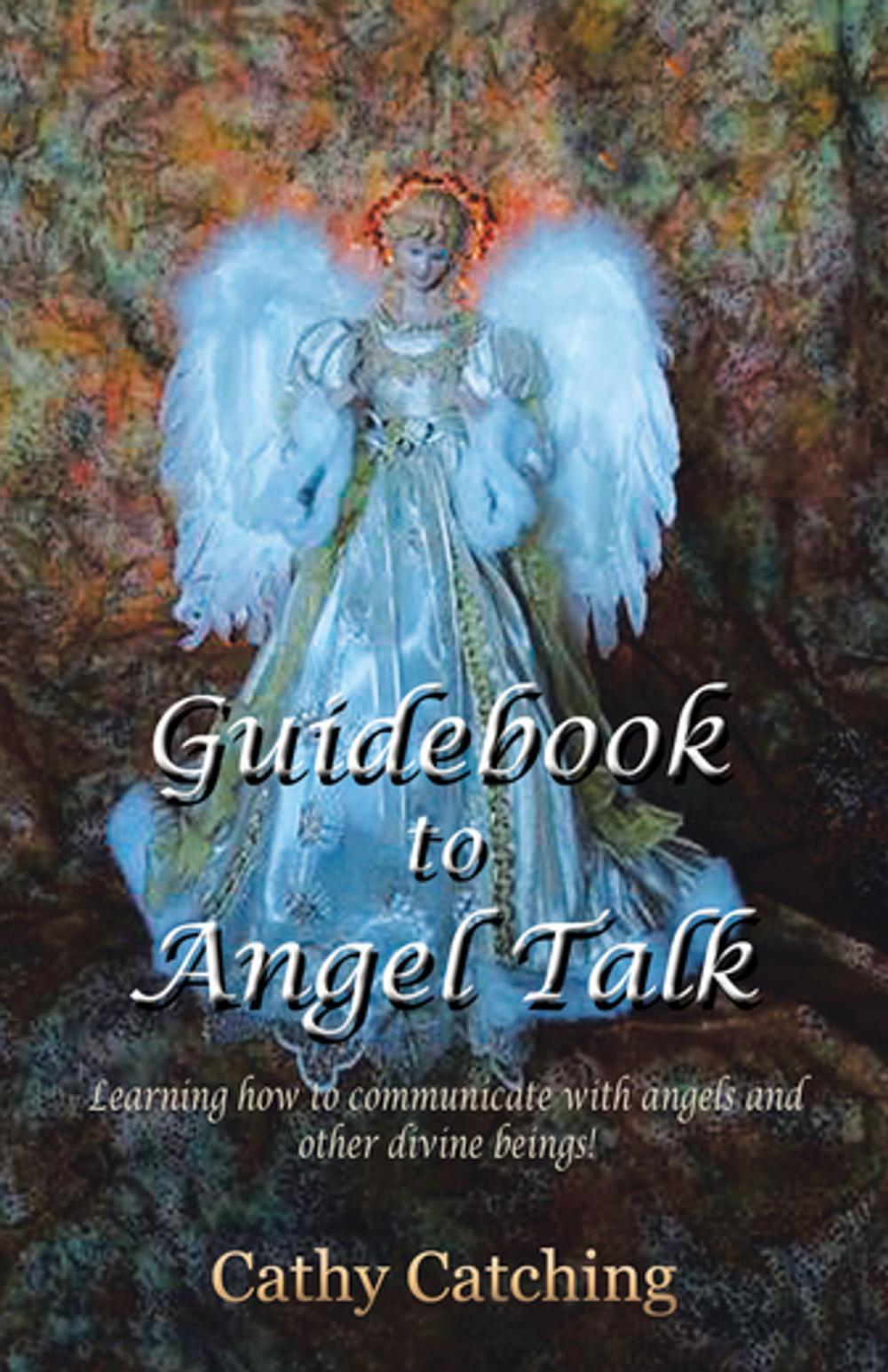 Big bigCover of Guidebook to Angel Talk