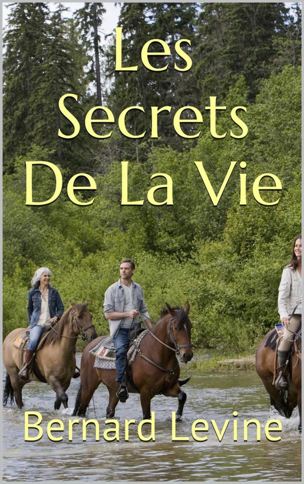 Big bigCover of LES SECRETS DE LA VIE