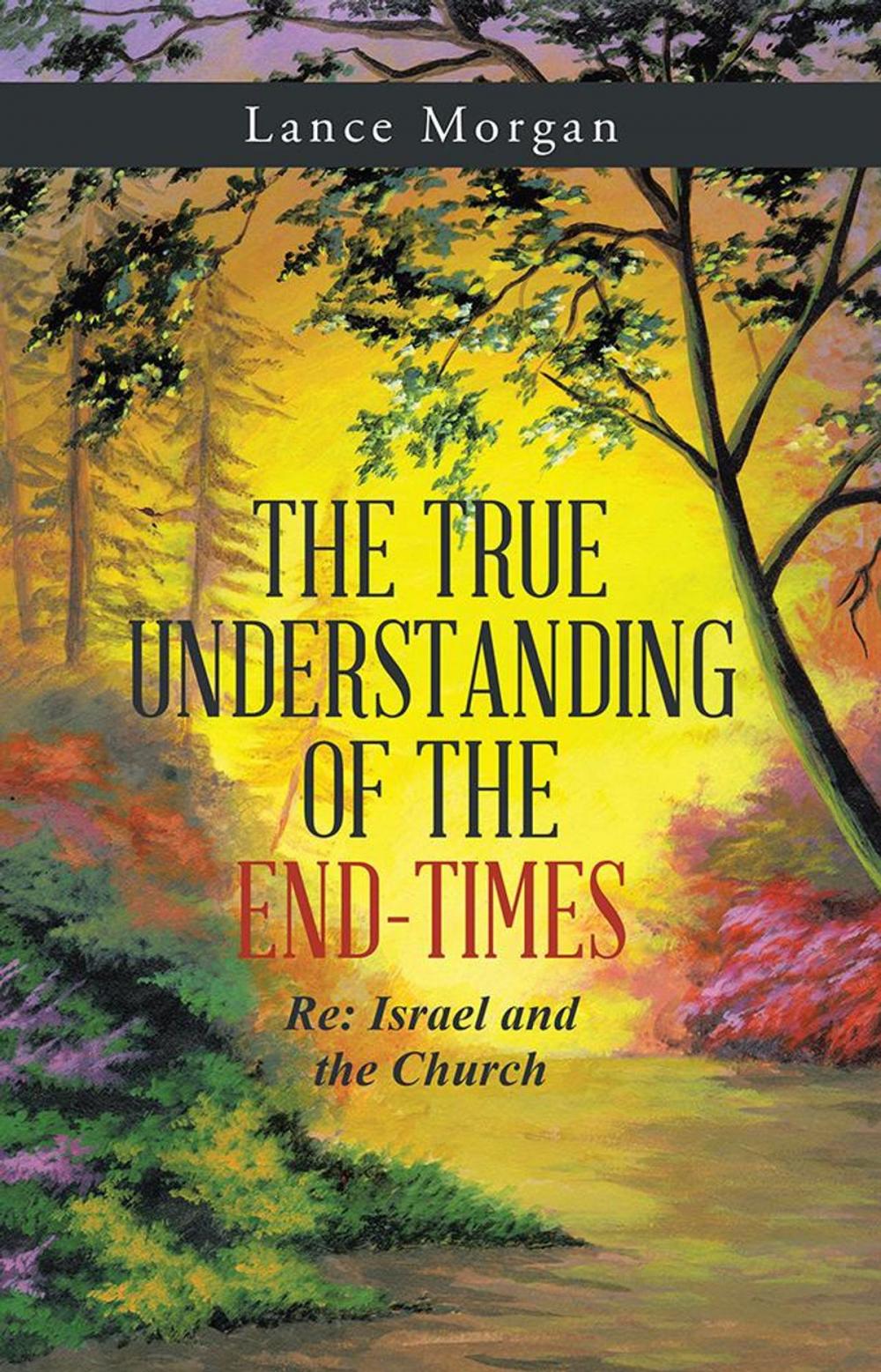 Big bigCover of The True Understanding of the End-Times