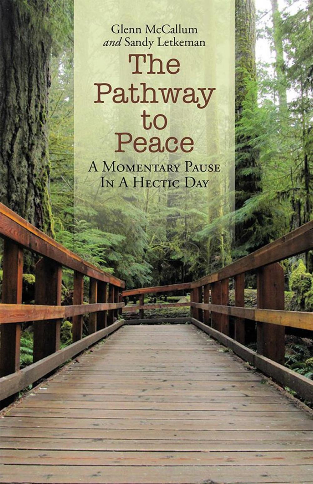 Big bigCover of The Pathway to Peace