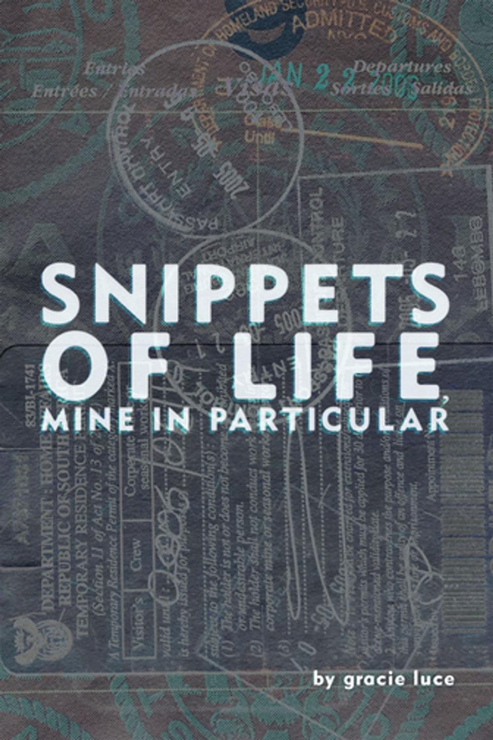 Big bigCover of Snippets of Life, Mine in Particular