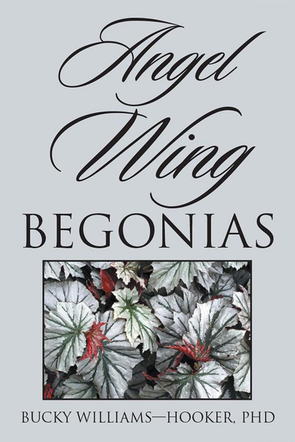 Big bigCover of Angel Wing Begonias