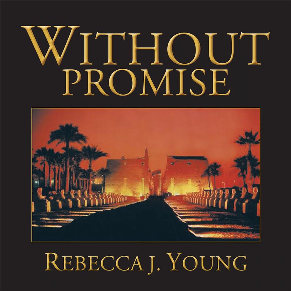 Big bigCover of Without Promise