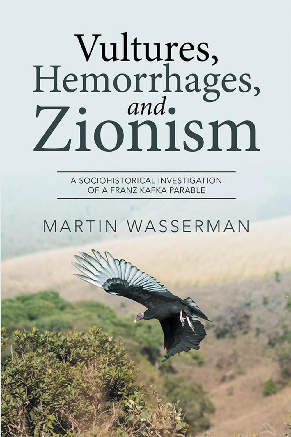Big bigCover of Vultures, Hemorrhages, and Zionism