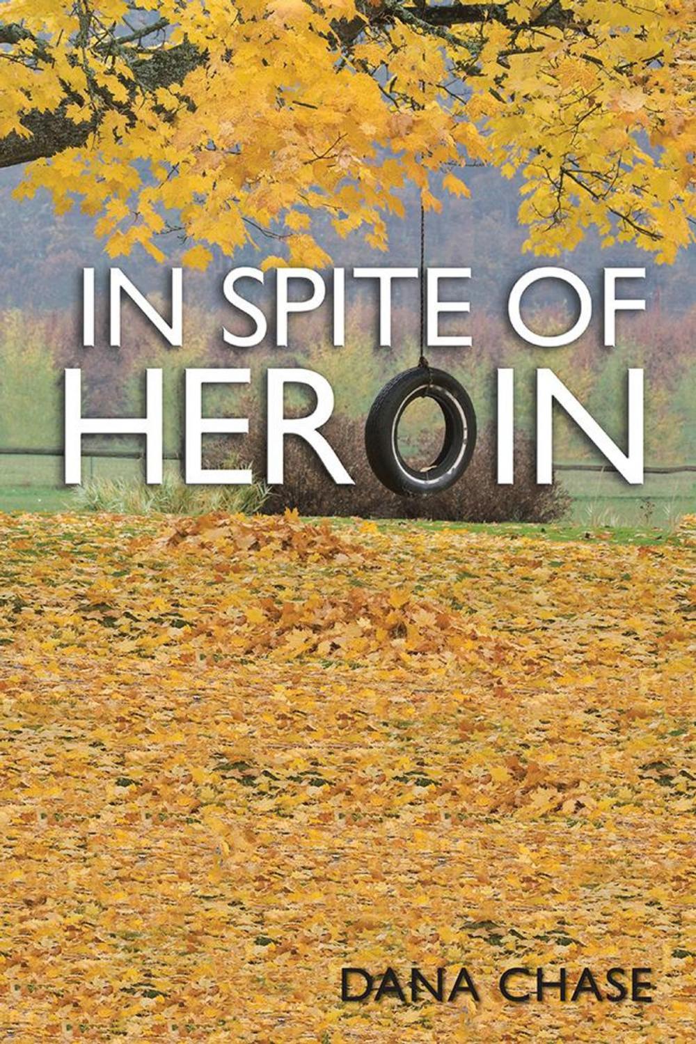 Big bigCover of In Spite of Heroin