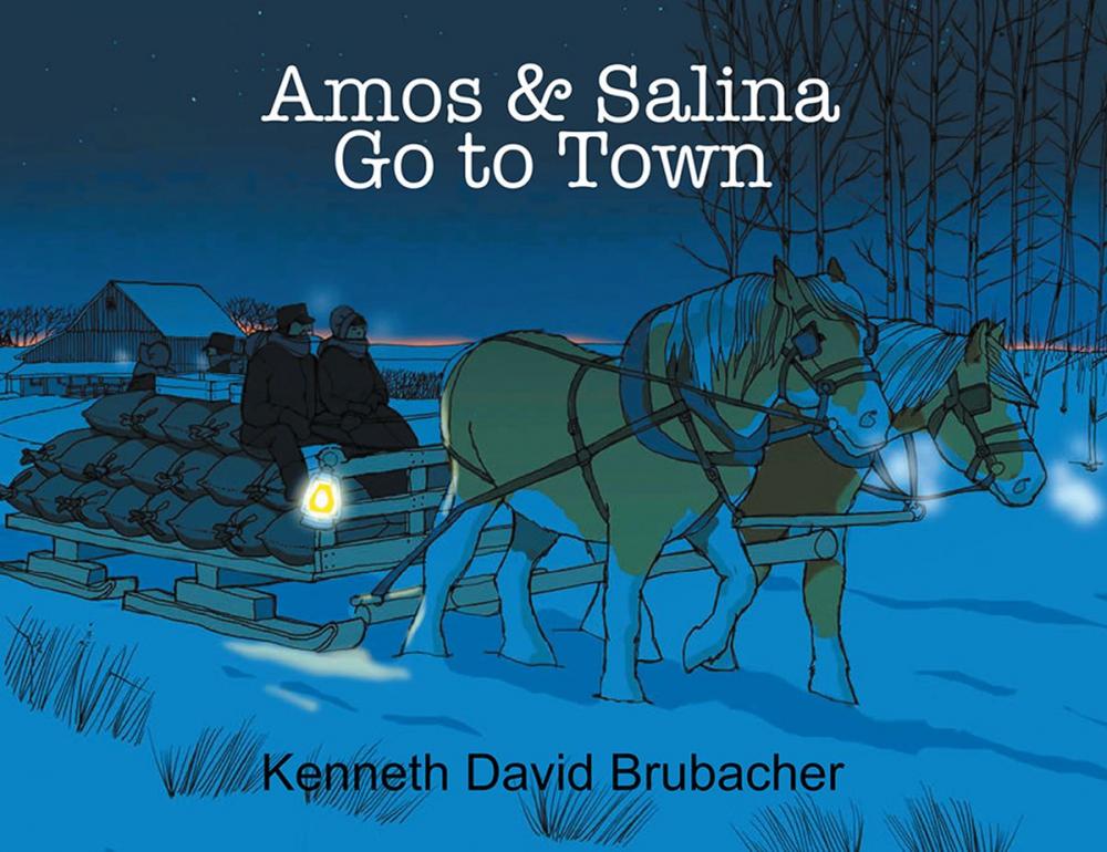 Big bigCover of Amos & Salina Go to Town