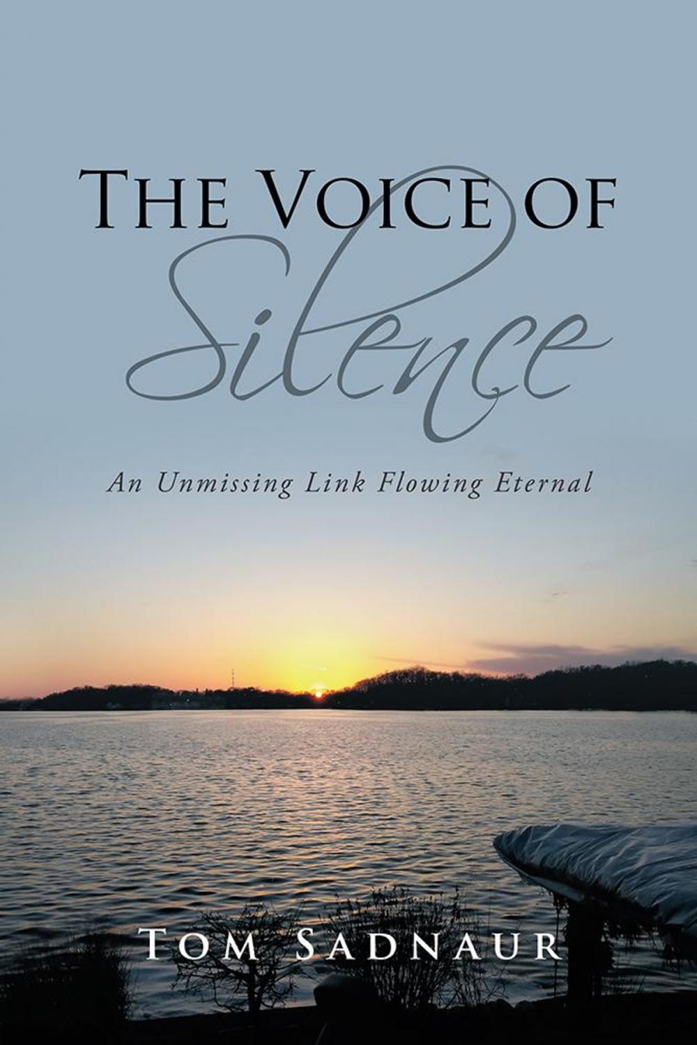 Big bigCover of The Voice of Silence