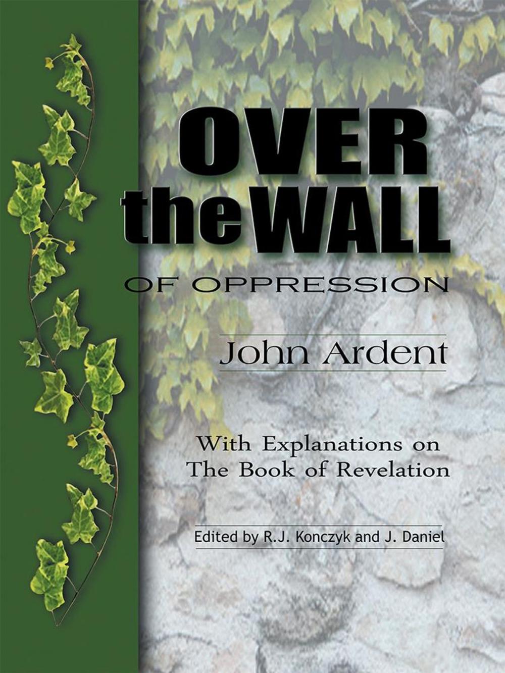 Big bigCover of Over the Wall of Oppression