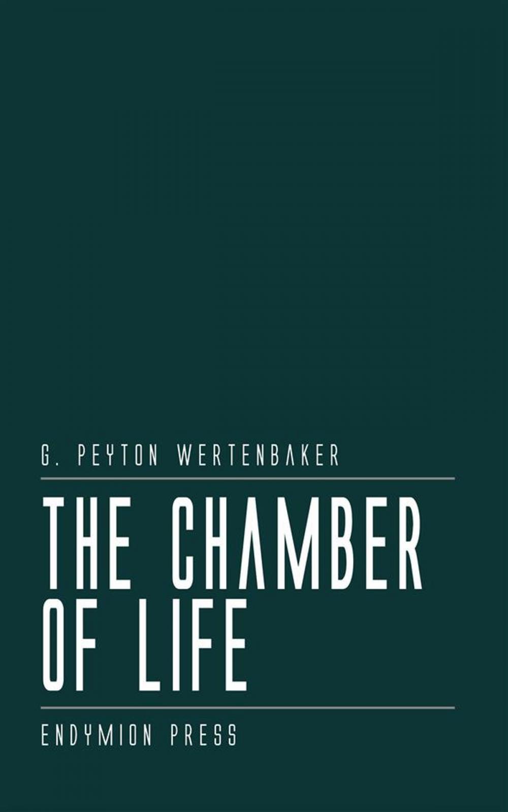 Big bigCover of The Chamber of Life