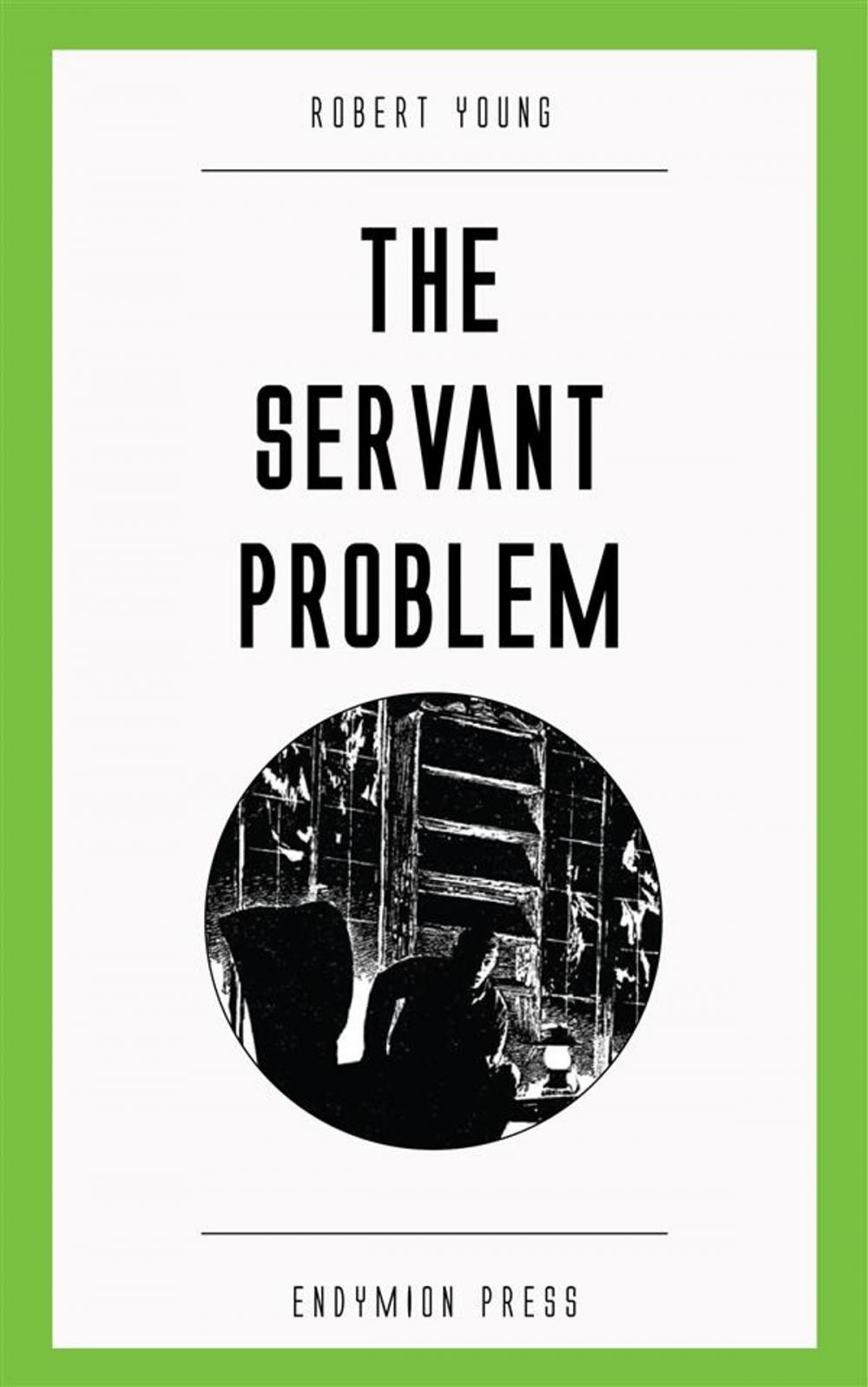 Big bigCover of The Servant Problem