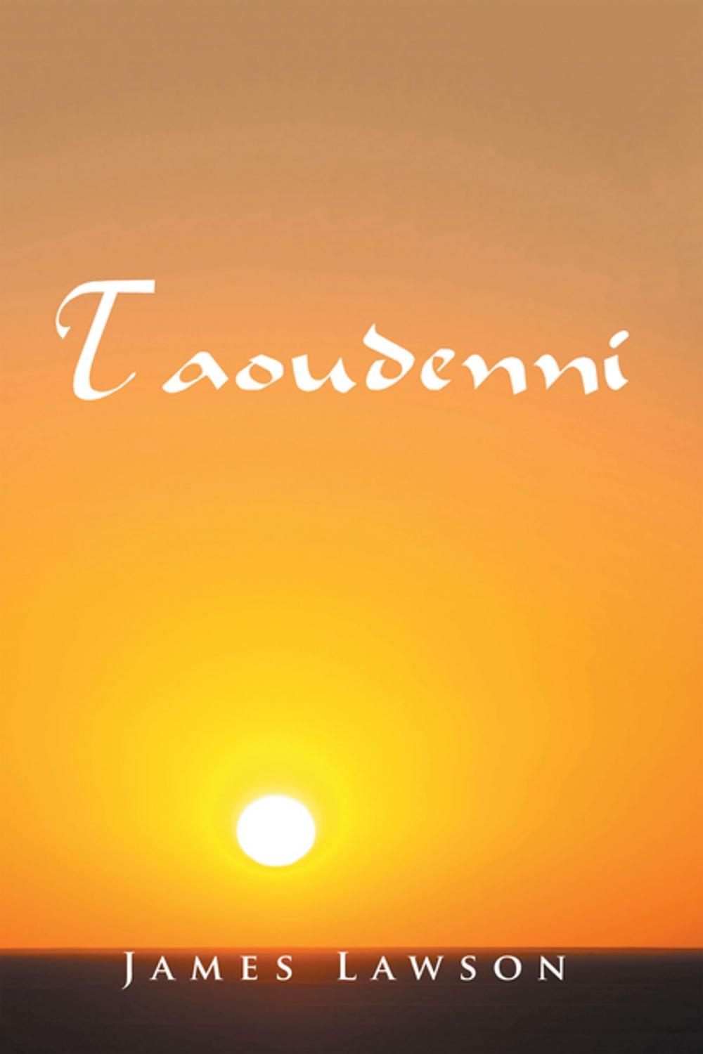 Big bigCover of Taoudenni