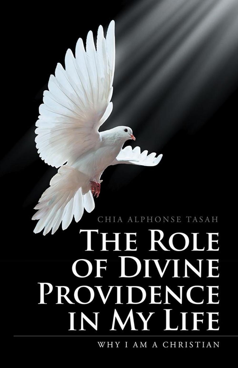 Big bigCover of The Role of Divine Providence in My Life