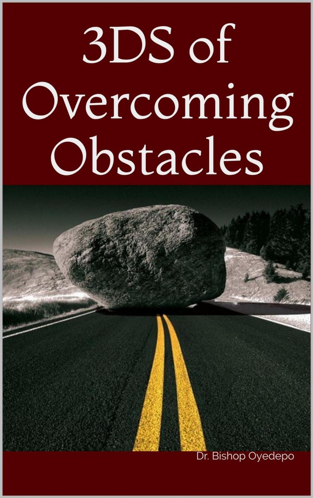 Big bigCover of 3DS of Overcoming Obstacles