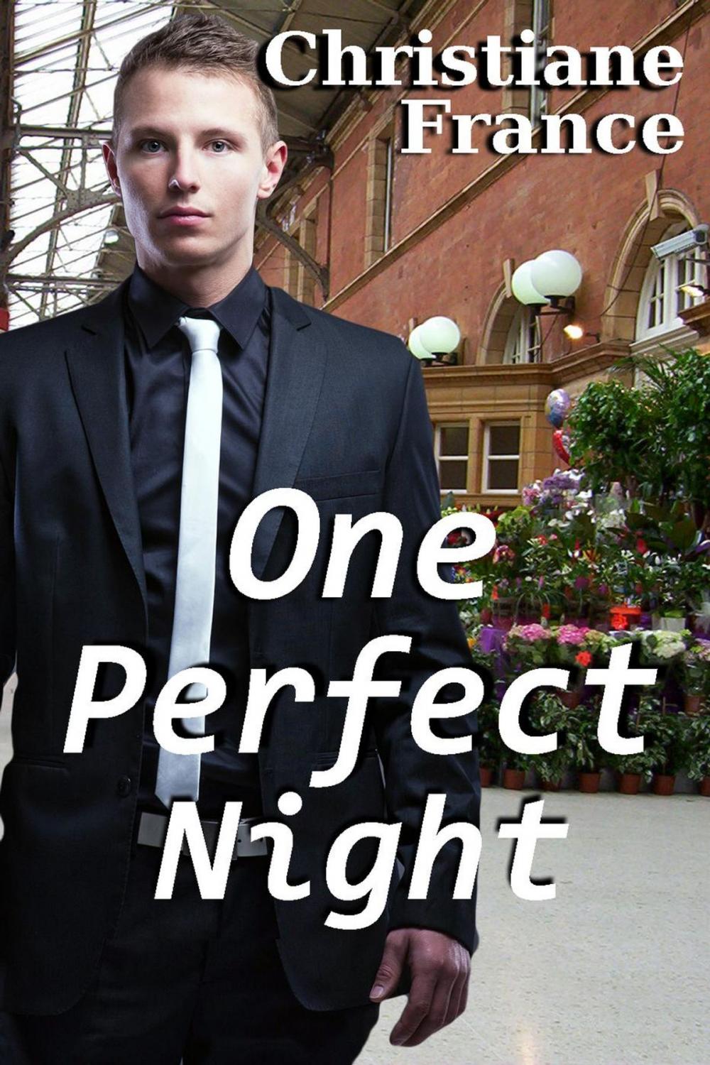 Big bigCover of One Perfect Night