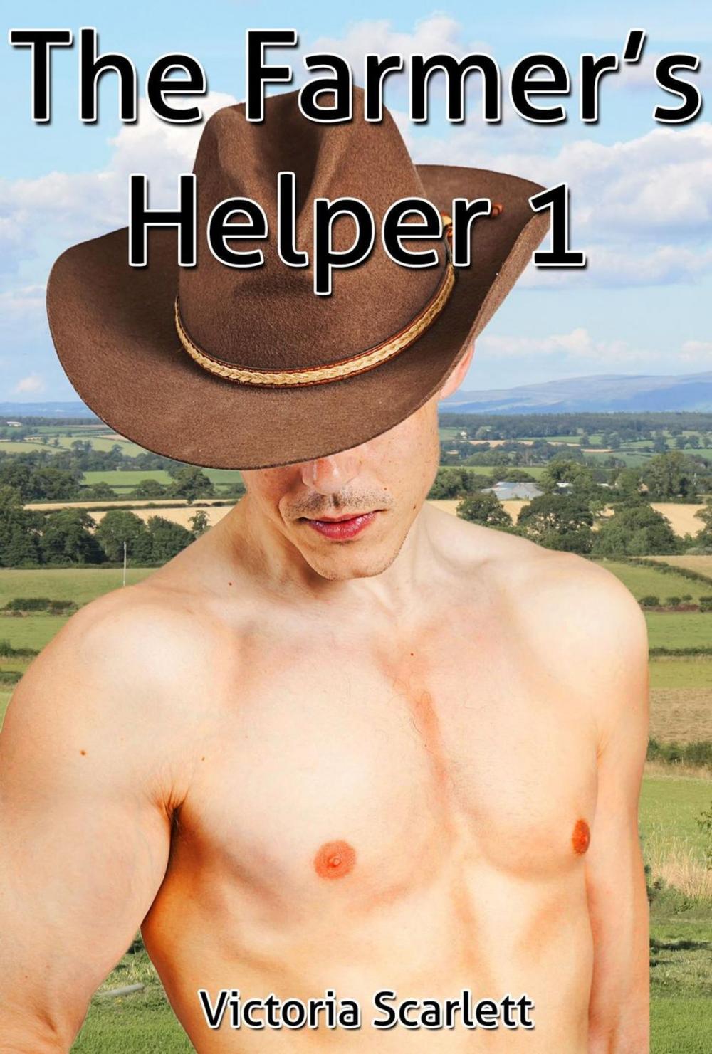 Big bigCover of The Farmer's Helper 1