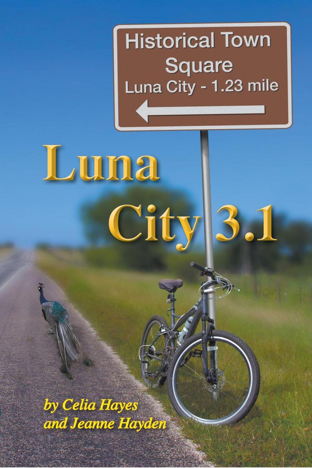 Big bigCover of Luna City 3.1